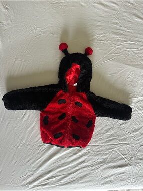 Ladybug Halloween Costume Kids Hooded Jacket - Red and Black Sz 24 months